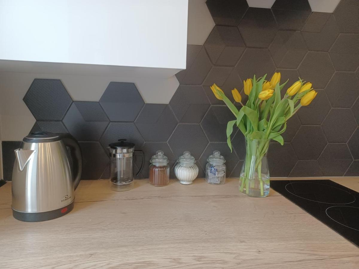 Apartament Piotrkowska 37 Studio Łódź Eksteriør billede