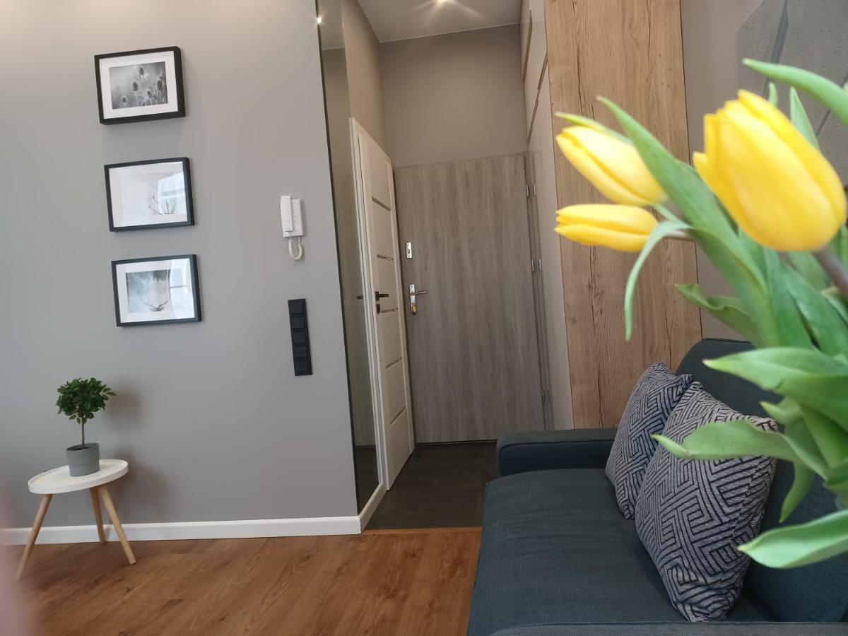 Apartament Piotrkowska 37 Studio Łódź Eksteriør billede