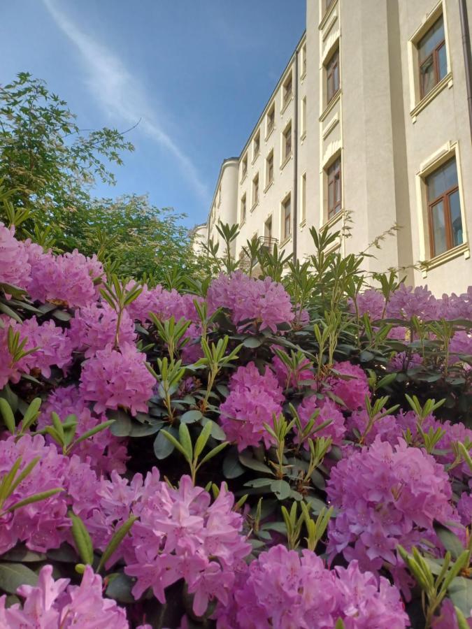 Apartament Piotrkowska 37 Studio Łódź Eksteriør billede